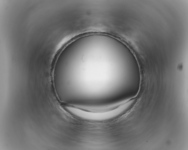 X0000089881168200707262204