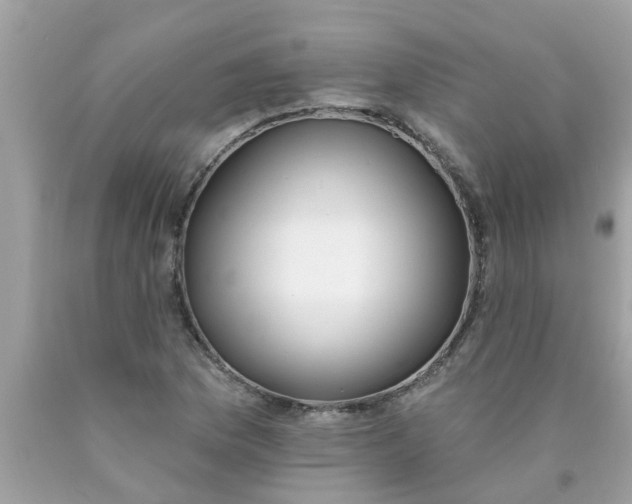 X0000089881169200707262204