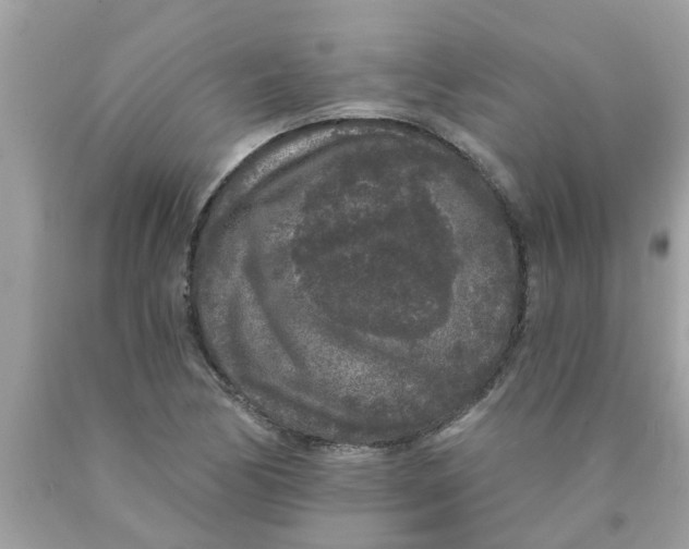 X0000089881170200707262204