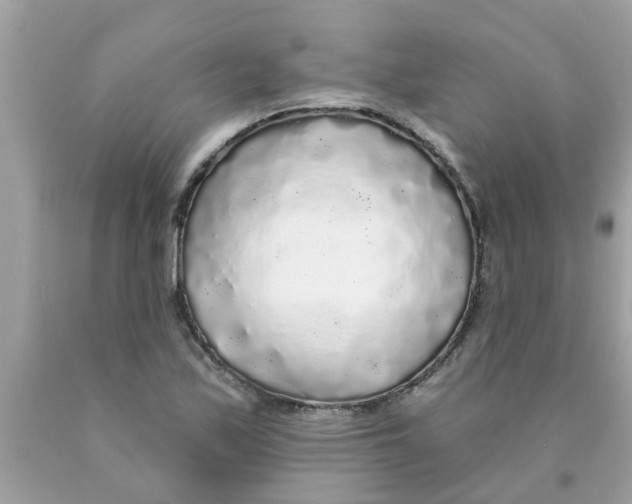 X0000089881171200707262204