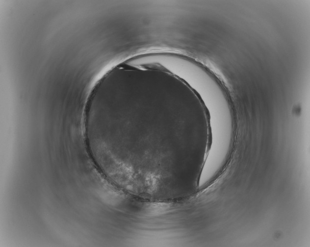 X0000089881173200707262204