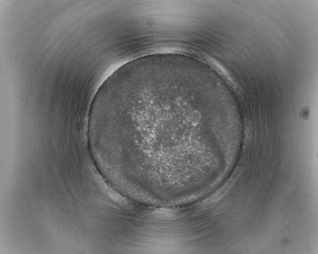 X0000089881178200707262204