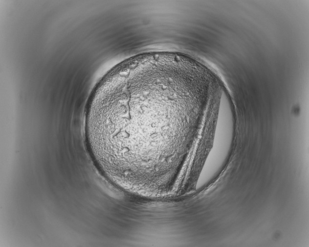 X0000089881179200707262204