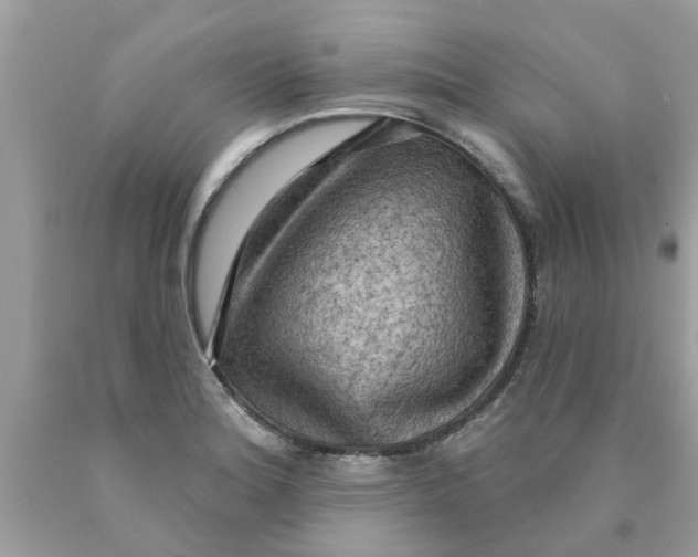 X0000089881180200707262204