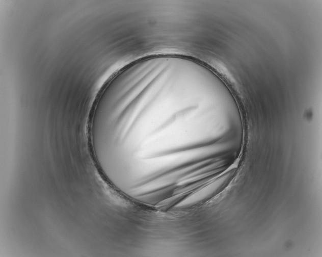 X0000089881181200707262204