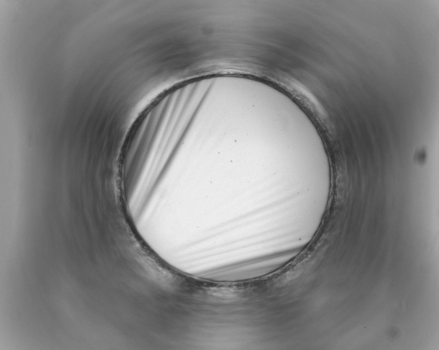 X0000089881182200707262204