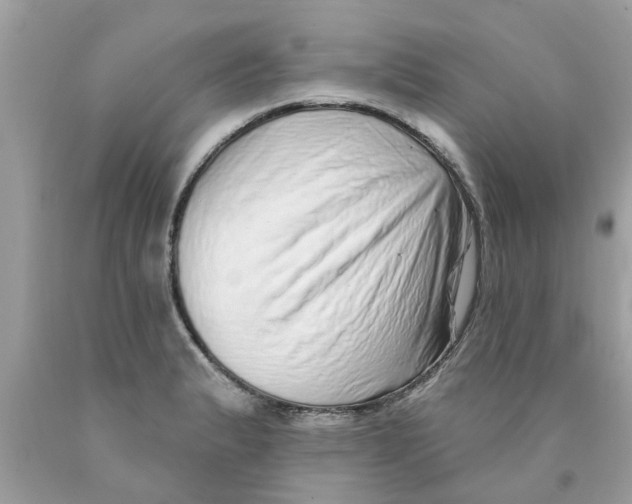 X0000089881183200707262204