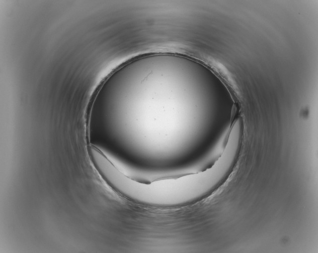 X0000089881184200707262204