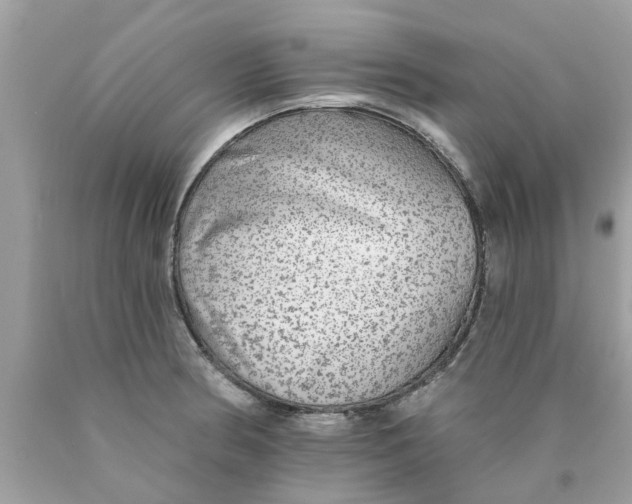 X0000089881186200707262203