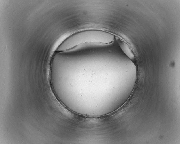 X0000089881188200707262203