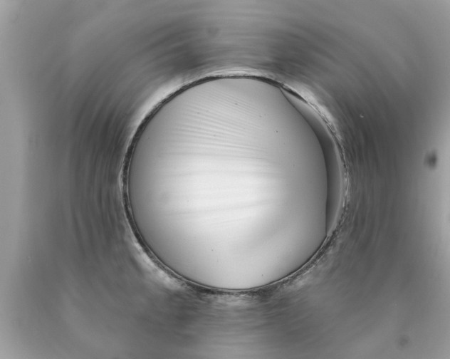 X0000089881189200707262203