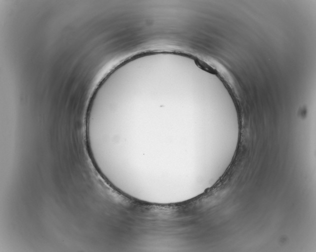 X0000089881191200707262203