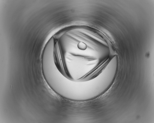 X0000089881192200707262203