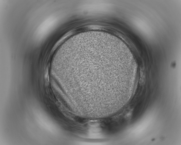 X0000089881198200707262203