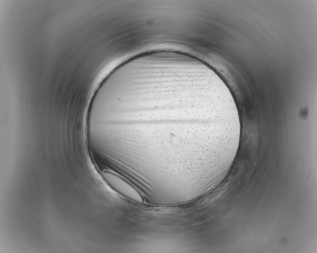 X0000089881199200707262203