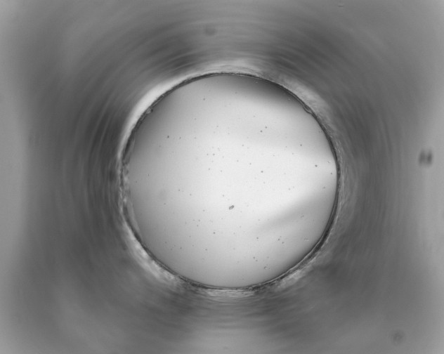 X0000089881200200707262203