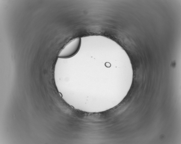 X0000089881201200707262203