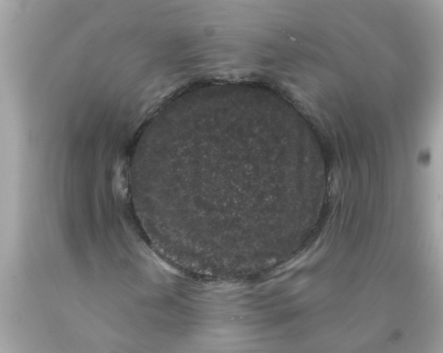 X0000089881202200707262203