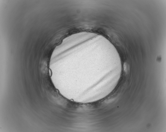 X0000089881203200707262203