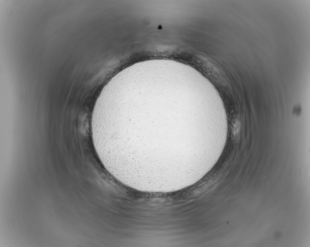 X0000089881204200707262203