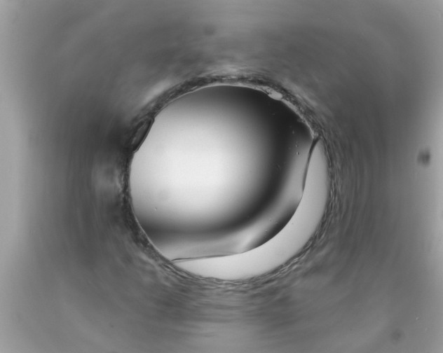 X0000089881206200707262203