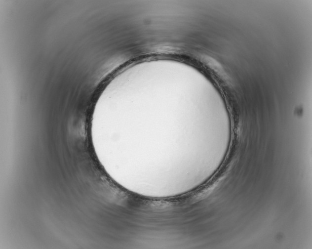 X0000089881209200707262203