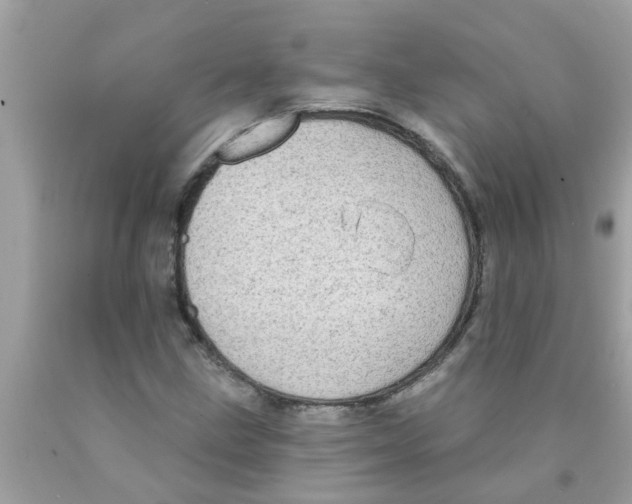 X0000089881211200707262203