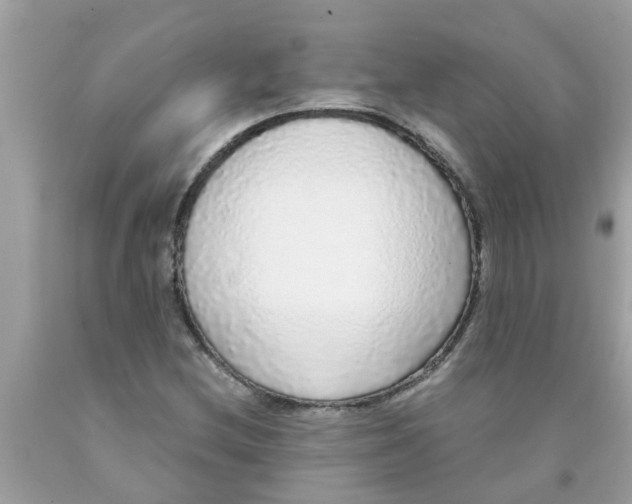 X0000089881212200707262203