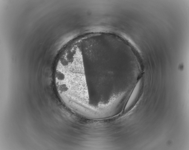 X0000089881213200707262203