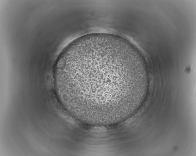 X0000089881215200707262203