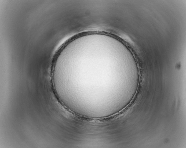 X0000089881216200707262203