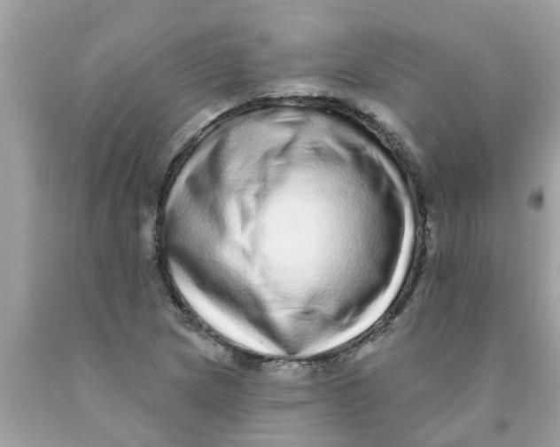 X0000089881217200707262203