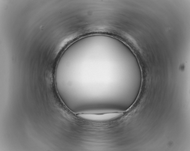 X0000089881218200707262203