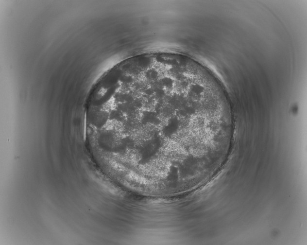 X0000089881219200707262203