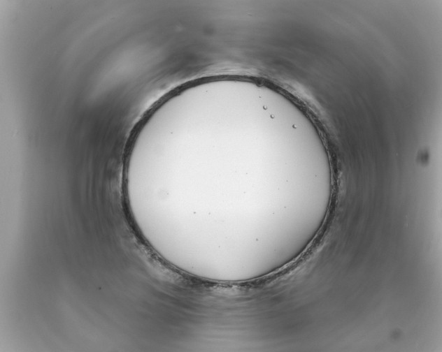 X0000089881220200707262203