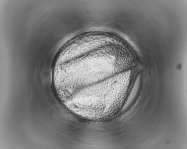 X0000089881221200707262203