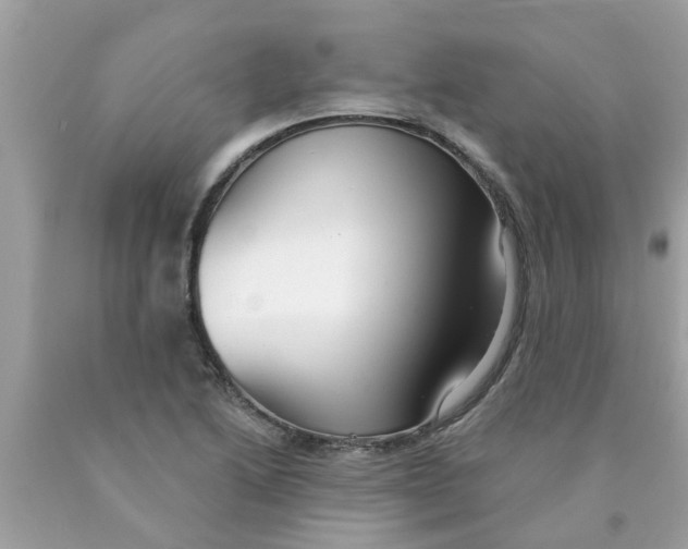 X0000089881222200707262203