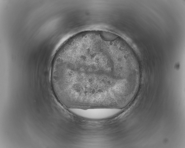 X0000089881224200707262203