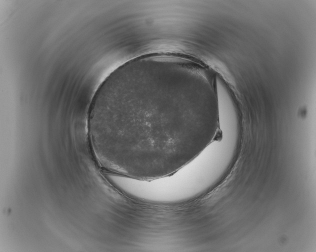 X0000089881226200707262203