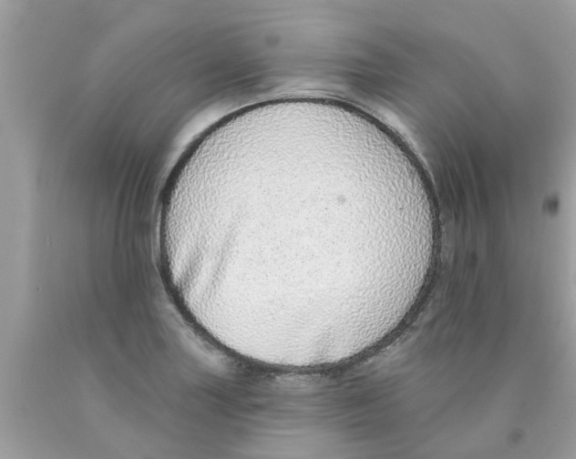 X0000089881227200707262203