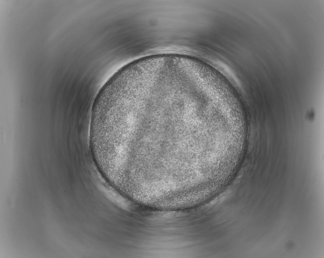 X0000089881228200707262203