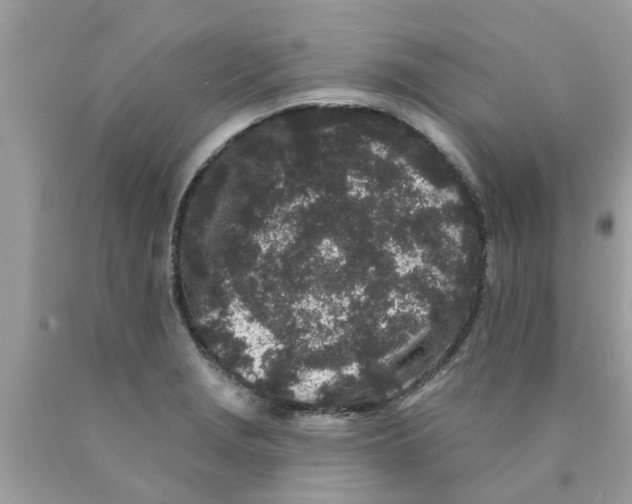 X0000089881229200707262203