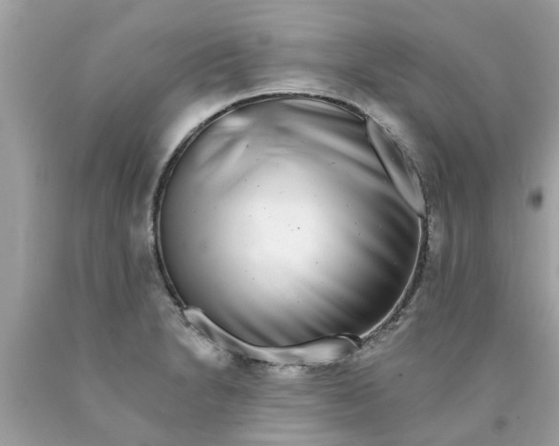 X0000089881230200707262203