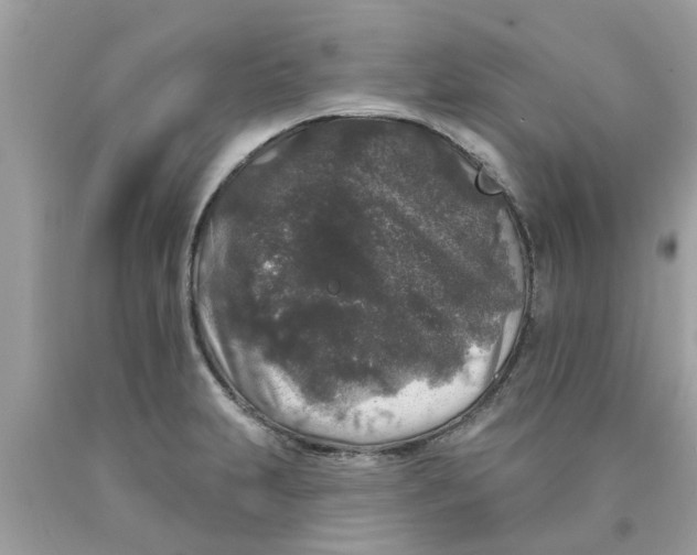 X0000089881231200707262203