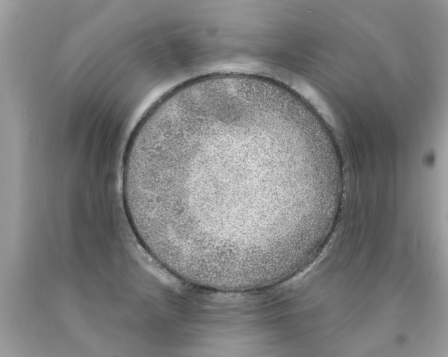 X0000089881232200707262203