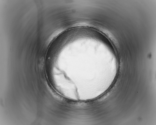 X0000089881233200707262203