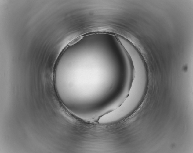 X0000089881234200707262203