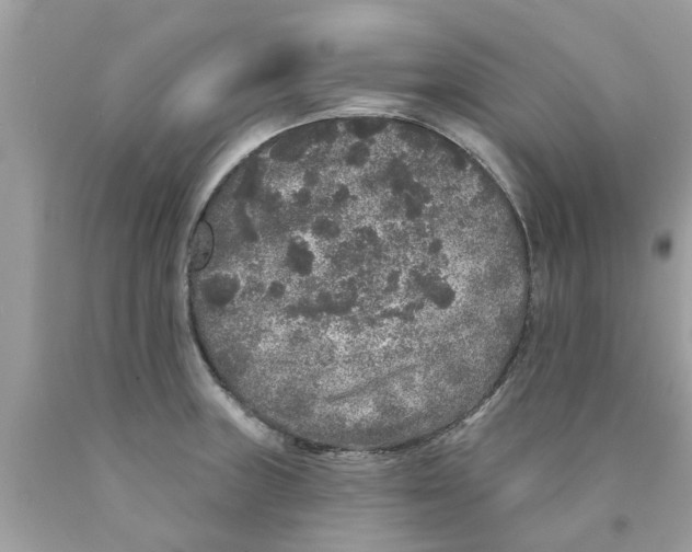 X0000089881235200707262203