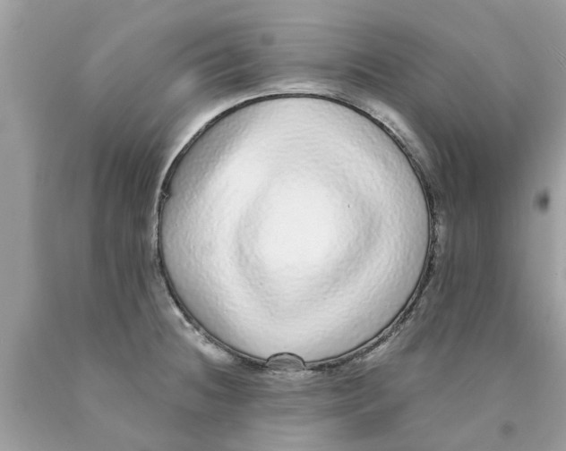 X0000089881236200707262203