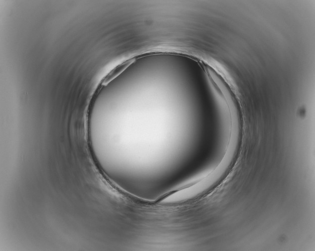 X0000089881238200707262203